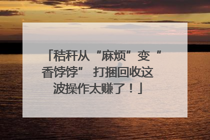 秸秆从“麻烦”变“香饽饽” 打捆回收这波操作太赚了！
