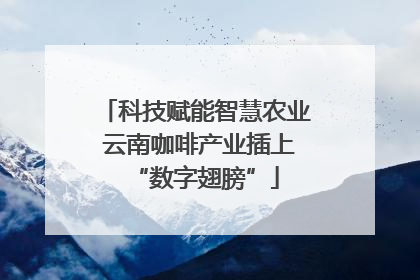 科技赋能智慧农业 云南咖啡产业插上“数字翅膀”