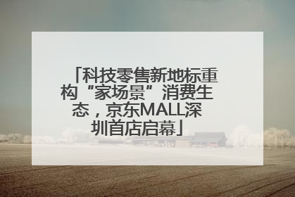 科技零售新地标重构“家场景”消费生态，京东MALL深圳首店启幕