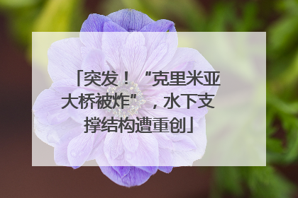突发！“克里米亚大桥被炸”，水下支撑结构遭重创