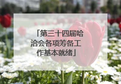 第三十四届哈洽会各项筹备工作基本就绪