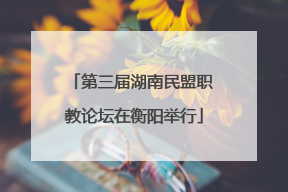 第三届湖南民盟职教论坛在衡阳举行