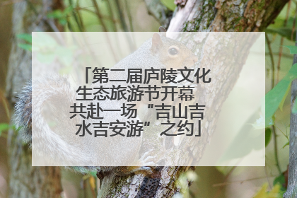 第二届庐陵文化生态旅游节开幕 共赴一场“吉山吉水吉安游”之约