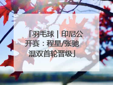 羽毛球｜印尼公开赛：程星/张驰混双首轮晋级