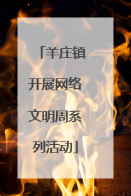 羊庄镇开展网络文明周系列活动