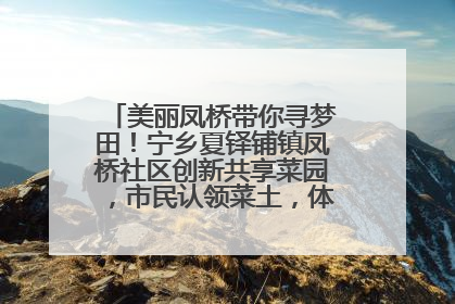 美丽凤桥带你寻梦田！宁乡夏铎铺镇凤桥社区创新共享菜园，市民认领菜土，体验耕种收获乐趣