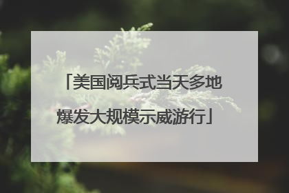 美国阅兵式当天多地爆发大规模示威游行