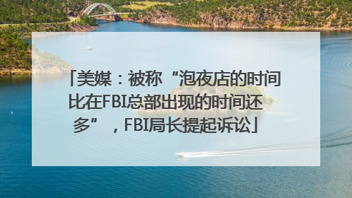 美媒：被称“泡夜店的时间比在FBI总部出现的时间还多”，FBI局长提起诉讼