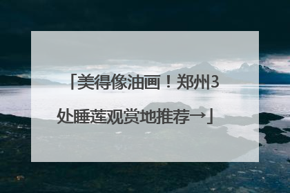 美得像油画！郑州3处睡莲观赏地推荐→