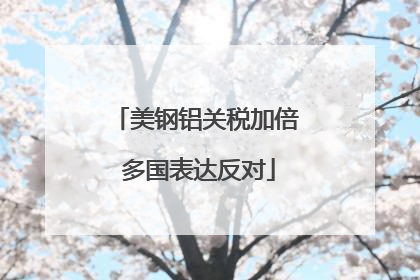 美钢铝关税加倍 多国表达反对