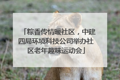 粽香传情暖社区，中建四局环境科技公司举办社区老年趣味运动会