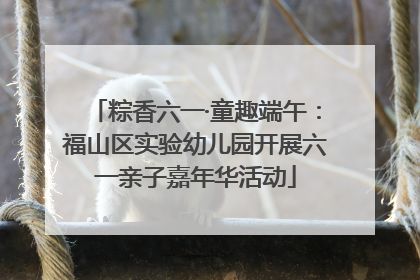 粽香六一·童趣端午：福山区实验幼儿园开展六一亲子嘉年华活动