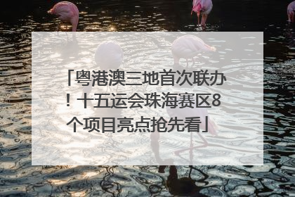 粤港澳三地首次联办！十五运会珠海赛区8个项目亮点抢先看