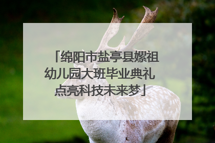 绵阳市盐亭县嫘祖幼儿园大班毕业典礼点亮科技未来梦
