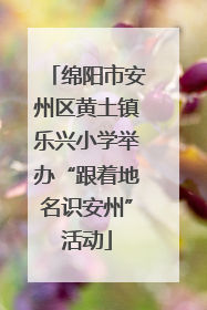绵阳市安州区黄土镇乐兴小学举办“跟着地名识安州”活动