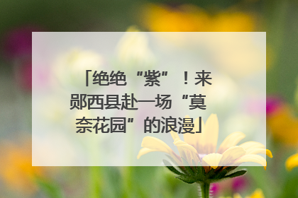 绝绝“紫”！来郧西县赴一场“莫奈花园”的浪漫