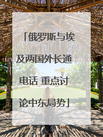 俄罗斯与埃及两国外长通电话 重点讨论中东局势