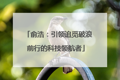 俞浩：引领追觅破浪前行的科技领航者