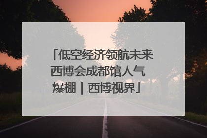 低空经济领航未来 西博会成都馆人气爆棚｜西博视界