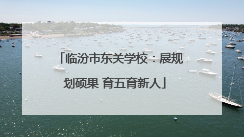 临汾市东关学校：展规划硕果 育五育新人