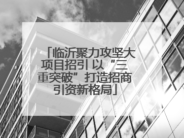 临沂聚力攻坚大项目招引 以“三重突破”打造招商引资新格局