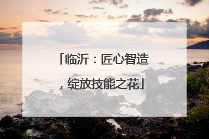 临沂：匠心智造，绽放技能之花