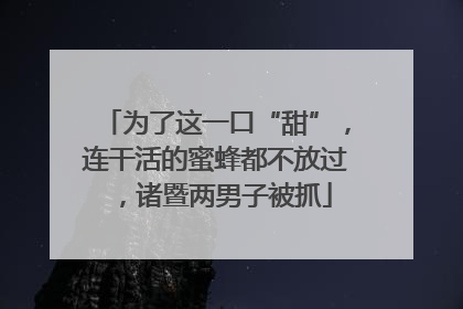 为了这一口“甜”，连干活的蜜蜂都不放过，诸暨两男子被抓