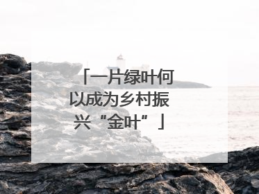 一片绿叶何以成为乡村振兴“金叶”