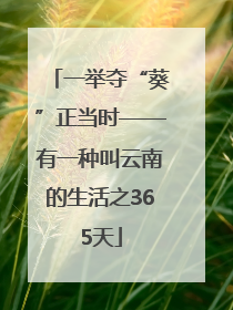 一举夺“葵”正当时——有一种叫云南的生活之365天