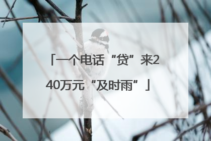 一个电话“贷”来240万元“及时雨”
