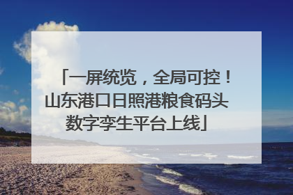 一屏统览，全局可控！山东港口日照港粮食码头数字孪生平台上线