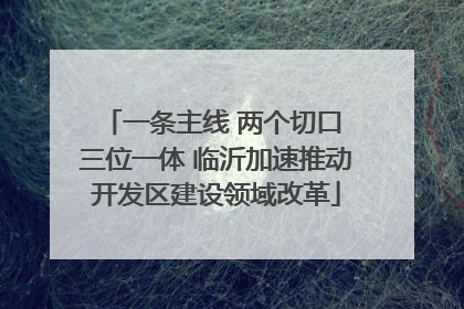 一条主线 两个切口 三位一体 临沂加速推动开发区建设领域改革