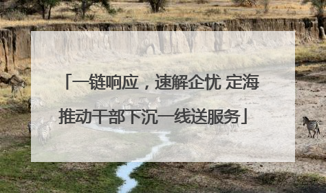 一链响应，速解企忧 定海推动干部下沉一线送服务