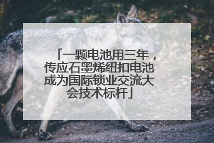 一颗电池用三年，传应石墨烯纽扣电池成为国际锁业交流大会技术标杆
