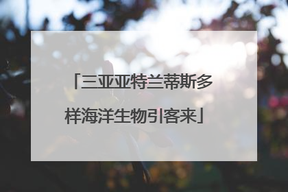 三亚亚特兰蒂斯多样海洋生物引客来
