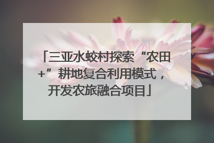 三亚水蛟村探索“农田+”耕地复合利用模式，开发农旅融合项目