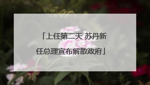 上任第二天 苏丹新任总理宣布解散政府