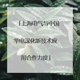上海电气与中国华电深化新技术应用合作力度