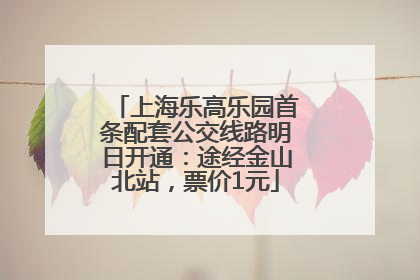 上海乐高乐园首条配套公交线路明日开通：途经金山北站，票价1元