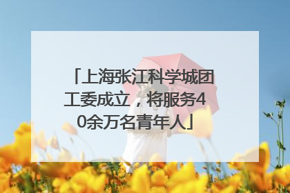 上海张江科学城团工委成立，将服务40余万名青年人