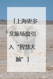 上海更多文旅场景引入“智慧大脑”
