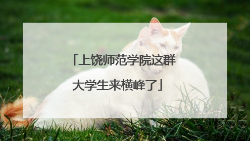 上饶师范学院这群大学生来横峰了