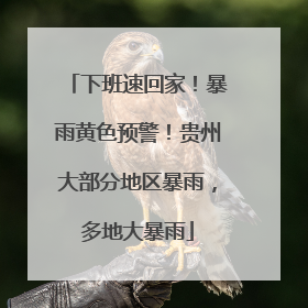 下班速回家！暴雨黄色预警！贵州大部分地区暴雨，多地大暴雨