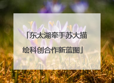 东太湖牵手苏大描绘科创合作新蓝图