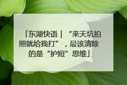 东湖快语｜“来天坑拍照就给我打”，最该清除的是“护短”思维