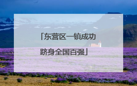 东营区一镇成功跻身全国百强