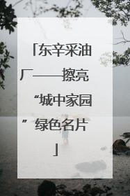 东辛采油厂——擦亮“城中家园”绿色名片