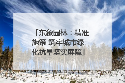东象园林：精准施策 筑牢城市绿化抗旱坚实屏障