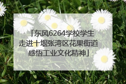 东风6264学校学生走进十堰张湾区花果街道感悟工业文化精神
