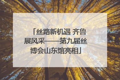 丝路新机遇 齐鲁展风采——第九届丝博会山东馆亮相
